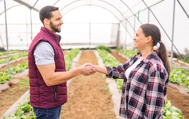 partnership agriculture farmers doing handshake greenhouse business deal farming industry collaboration teamwork man woman shaking hands work together sustainable farm 590464 99966